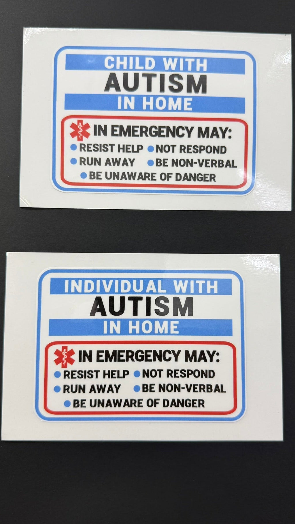 Child/Individual with Autism Window Cling