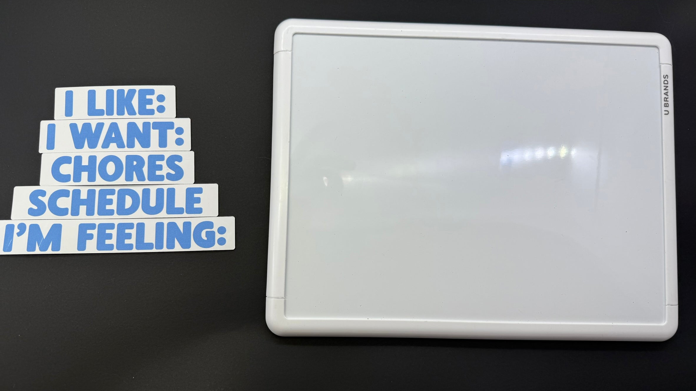 Magnetic Icon Board with Magnets and Zip Pouch